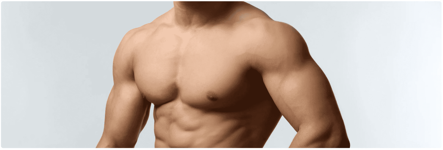 body men chest.png